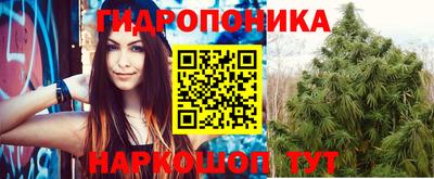 сатива Заволжье