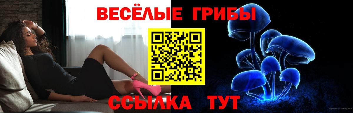 Псилоцибиновые грибы GOLDEN TEACHER  Псилоцибиновые грибы мухоморы  Воркута  Вход с VPN 